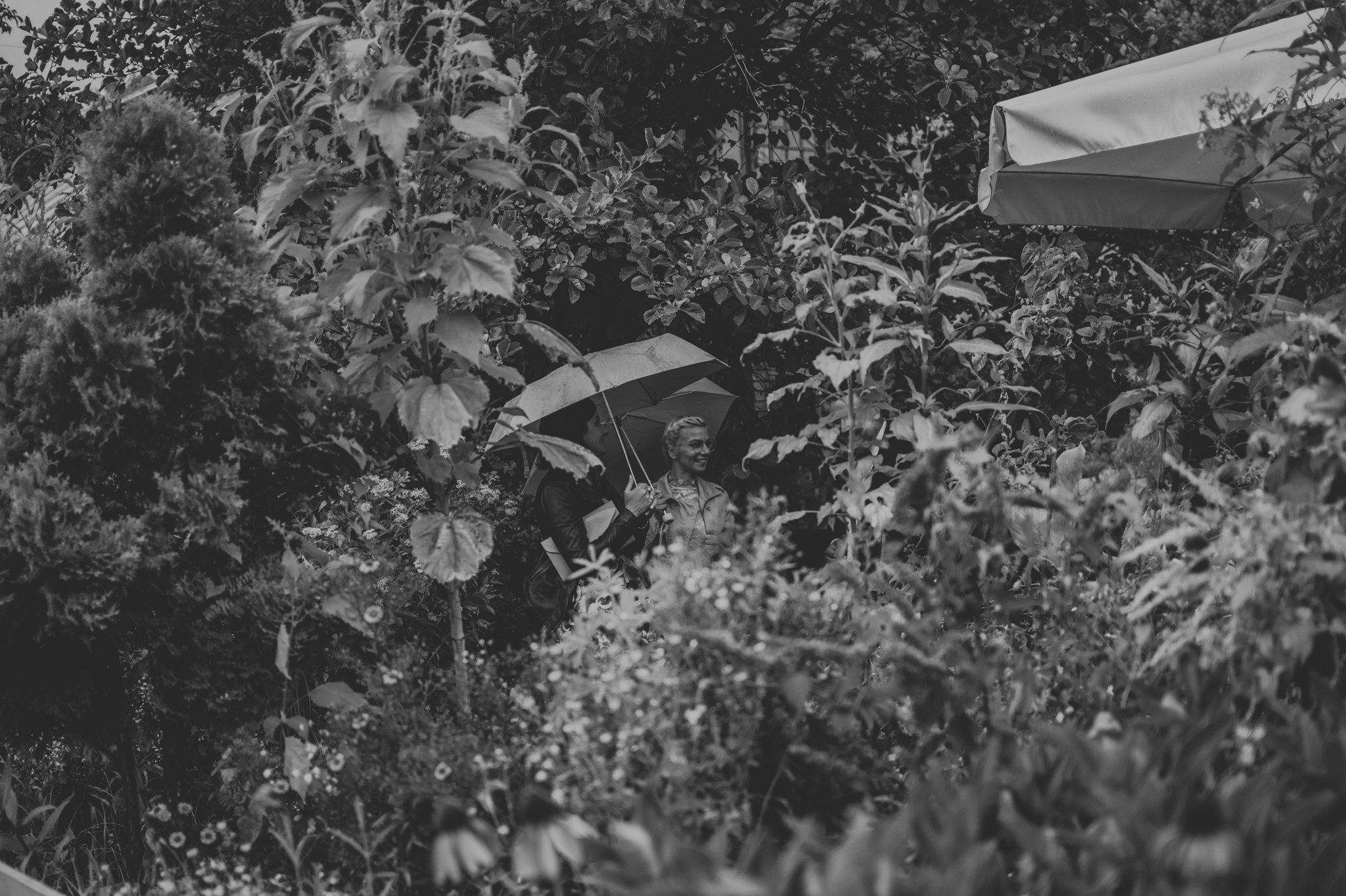 DSC 4701 Agata i Tomasz - Rustykalne wesele w Starej Oranżerii