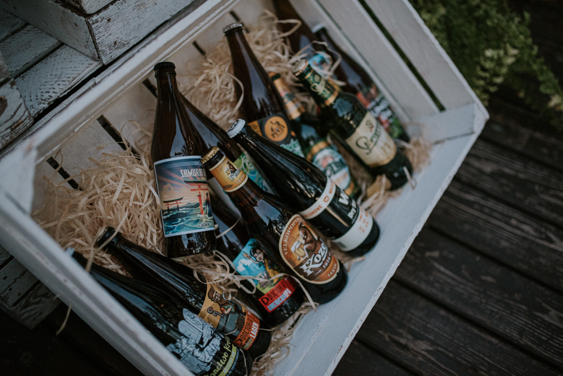 SAW 4916 Paulina i Paweł - Zacisze Anny Korcz