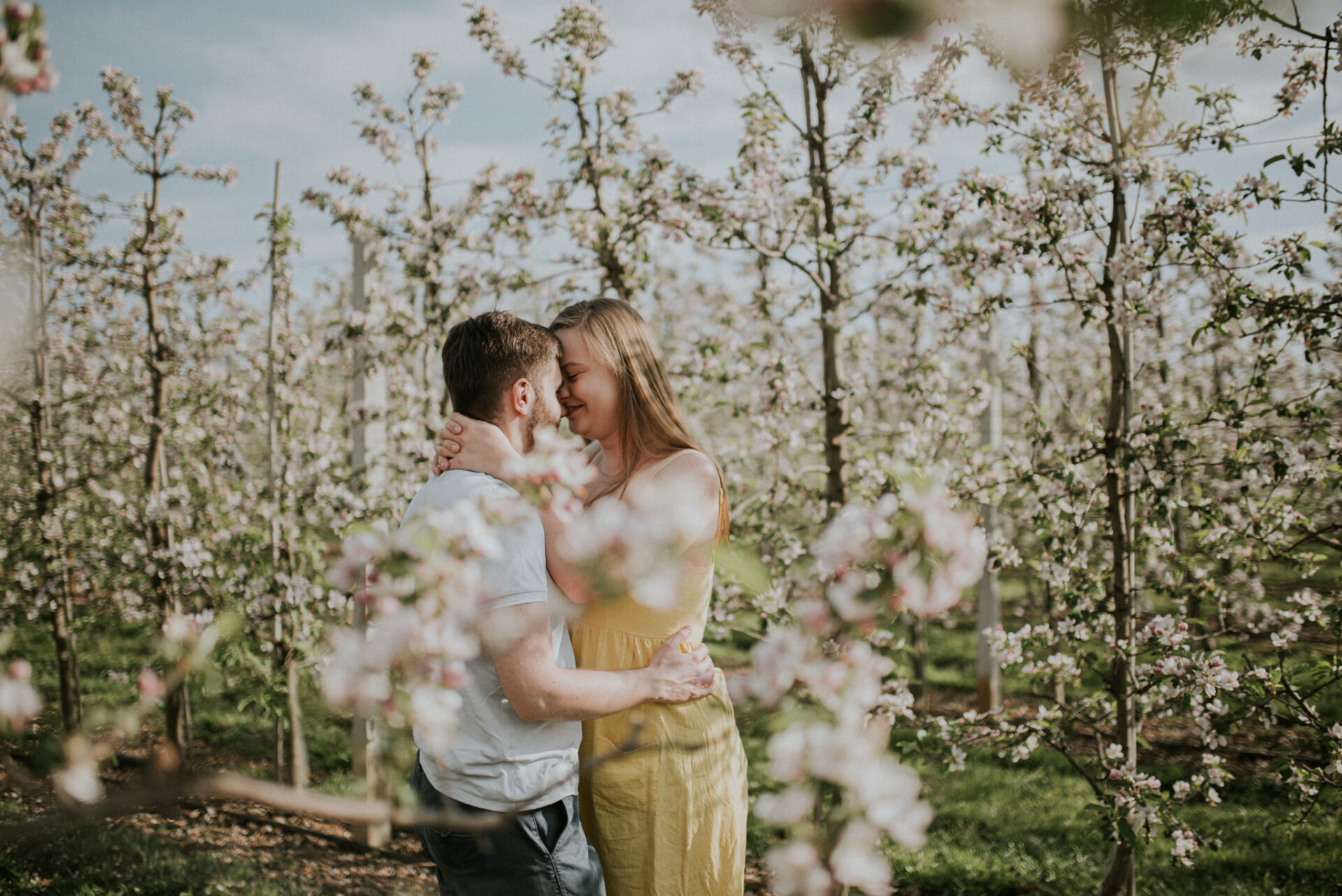 SAW 0483 Sesja narzeczeńska w sadzie