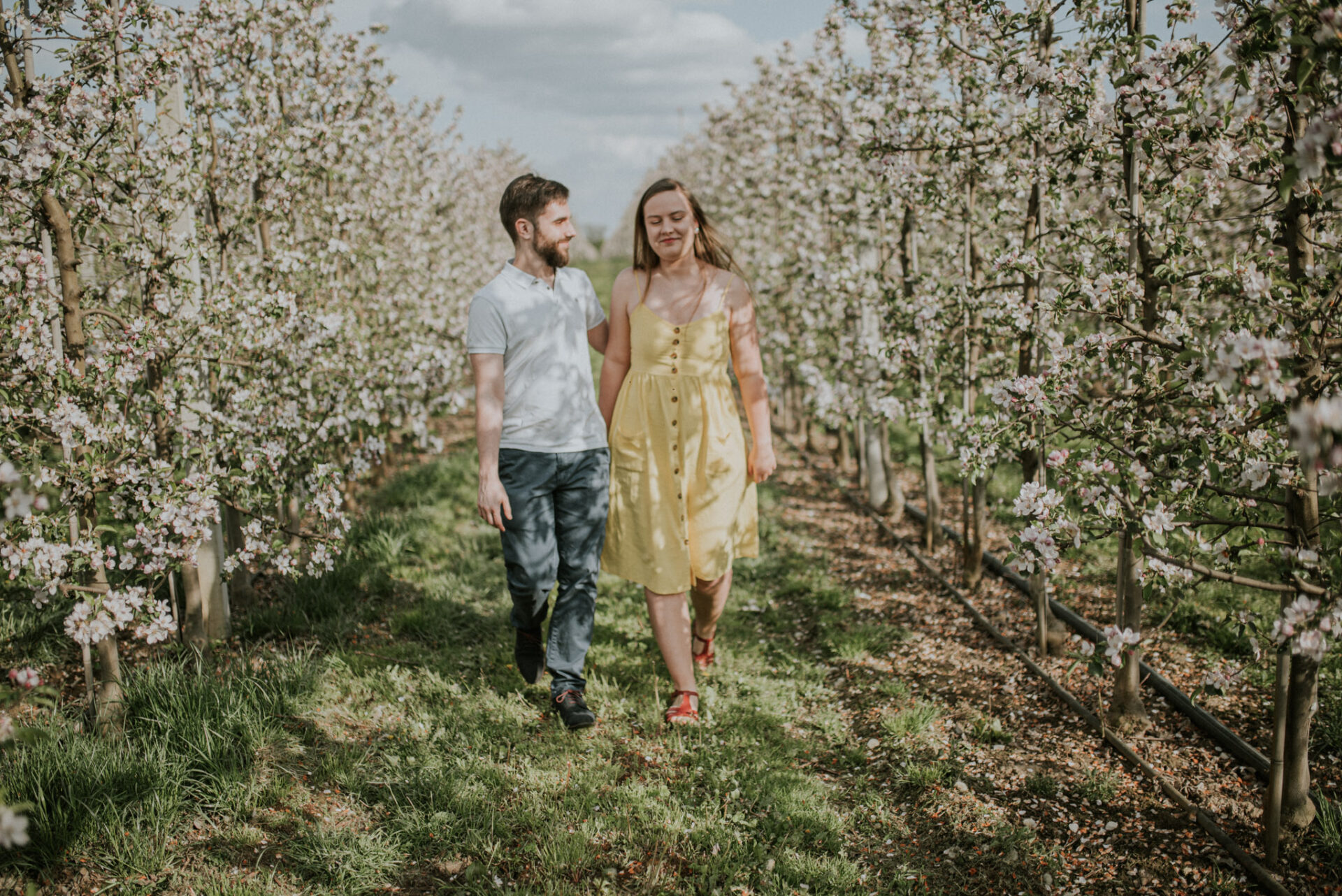 SAW 0489 Sesja narzeczeńska w sadzie