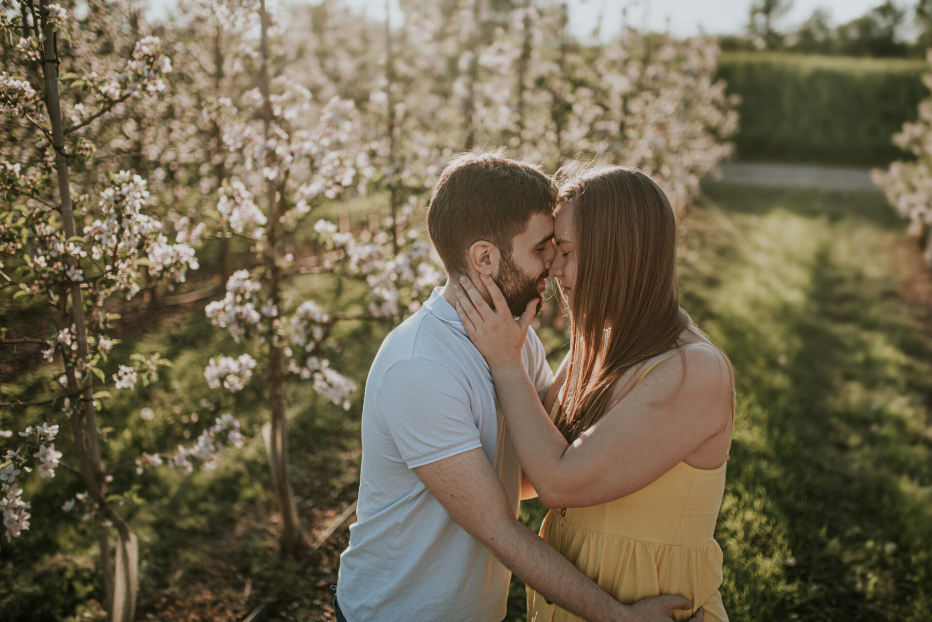 SAW 1551 2 Sesja narzeczeńska w sadzie