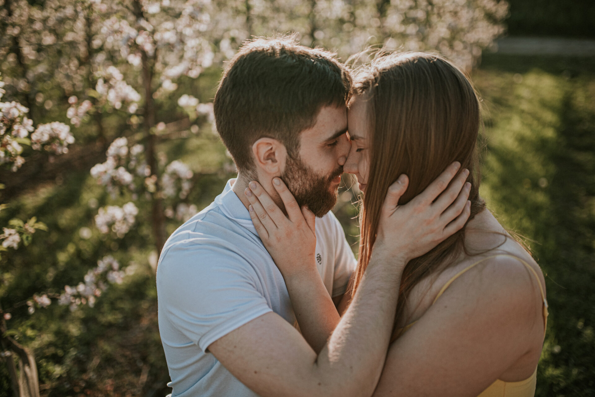 SAW 1553 Sesja narzeczeńska w sadzie