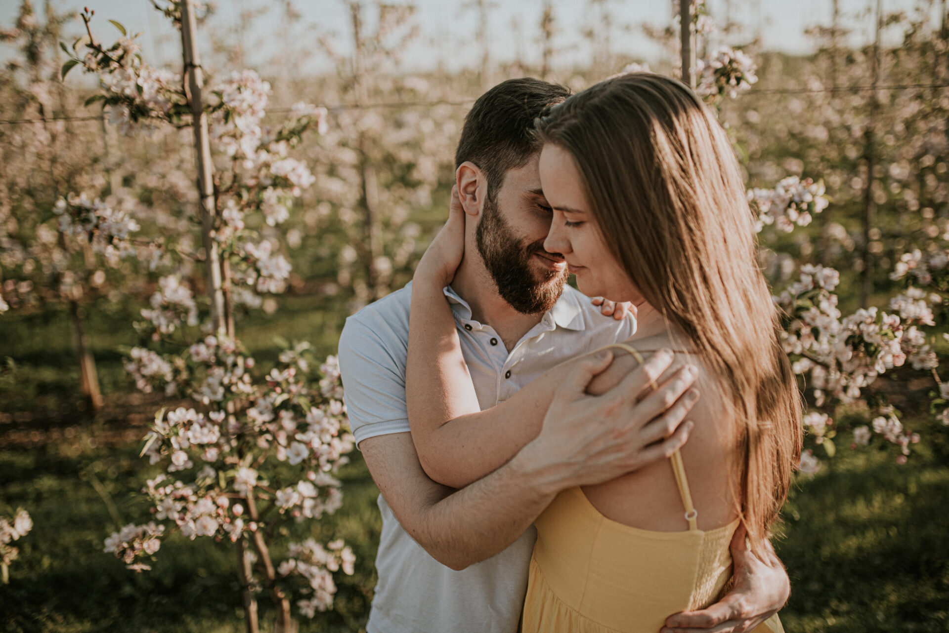 SAW 1598 Sesja narzeczeńska w sadzie