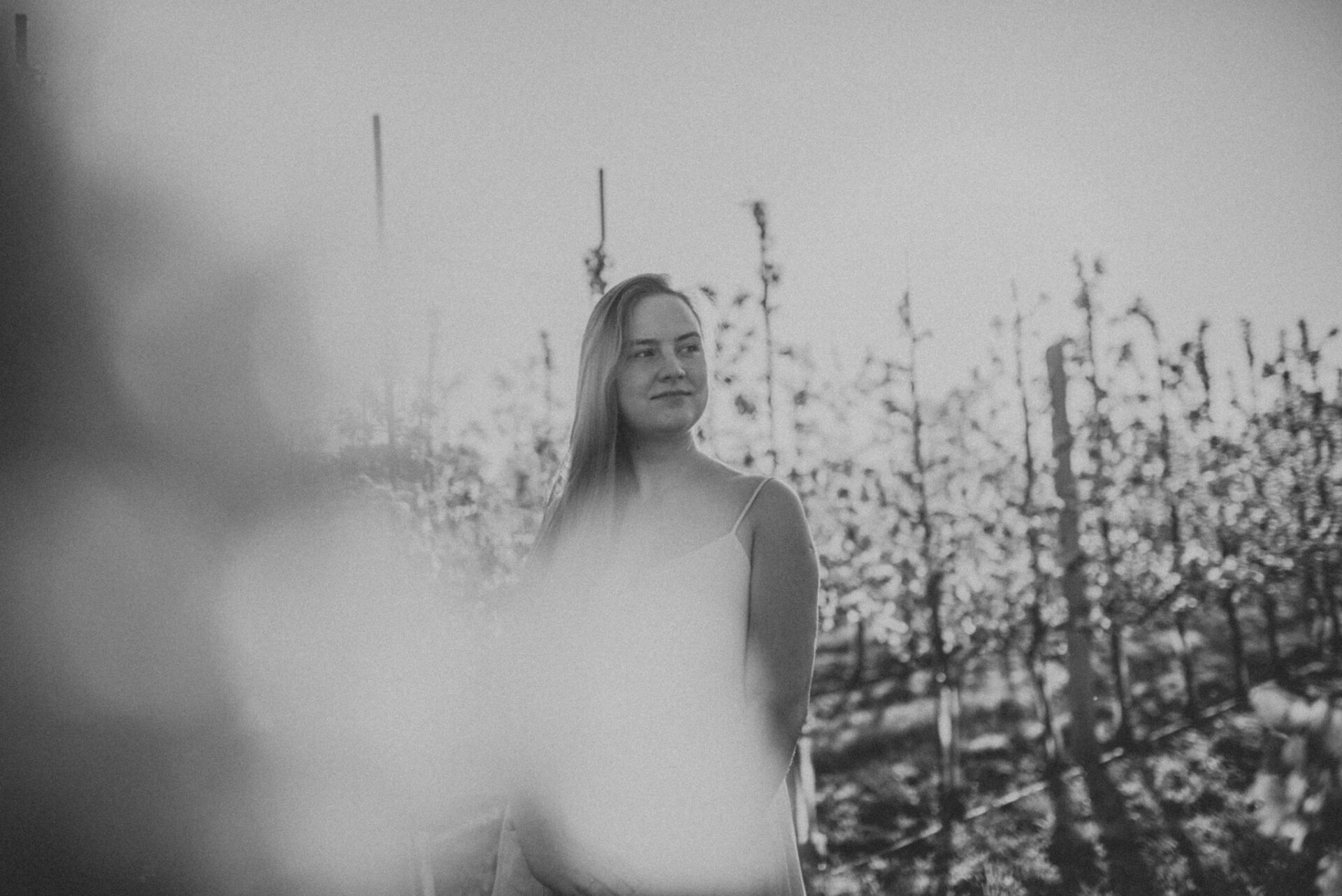 SAW 1654 Sesja narzeczeńska w sadzie