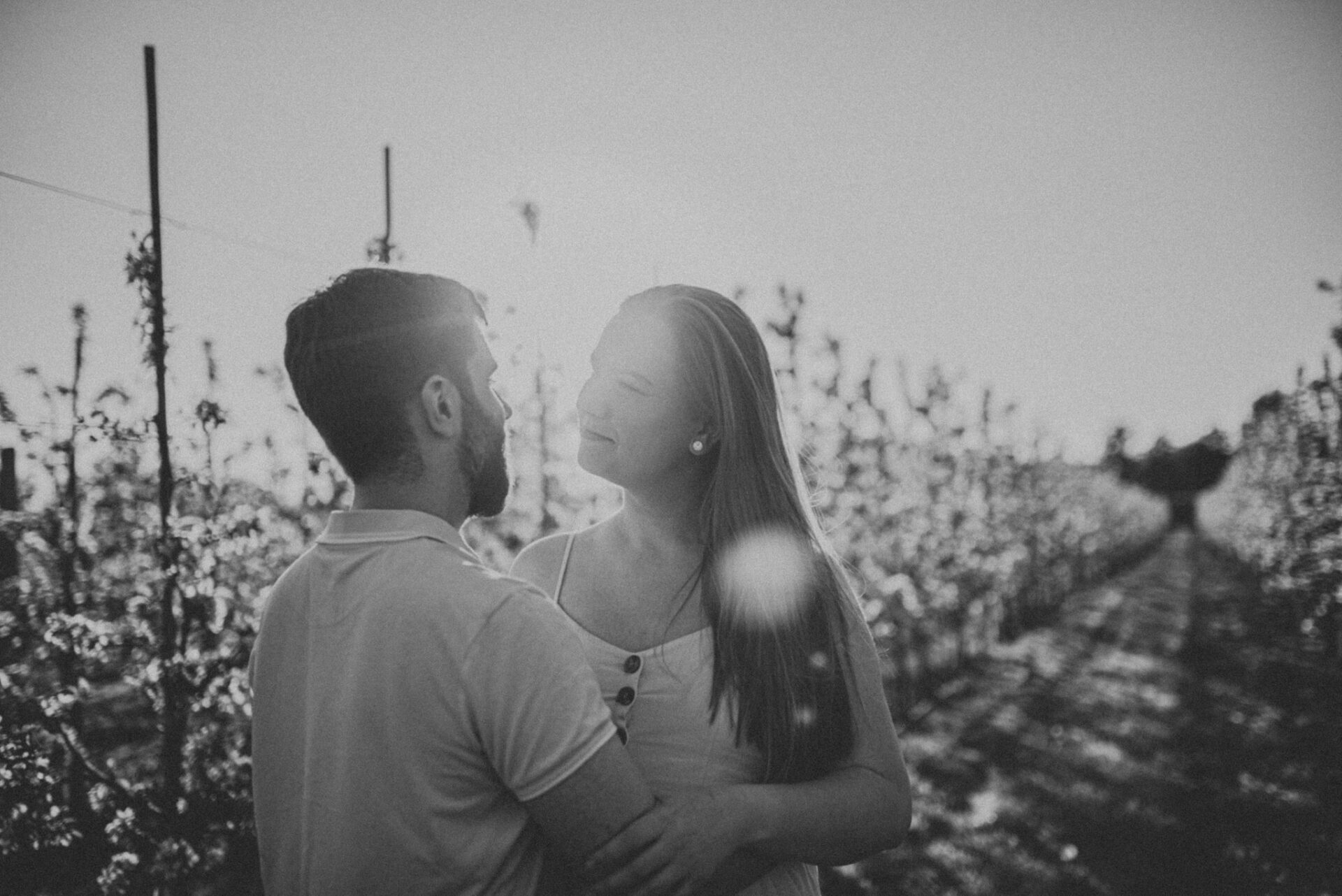 SAW 1668 Sesja narzeczeńska w sadzie