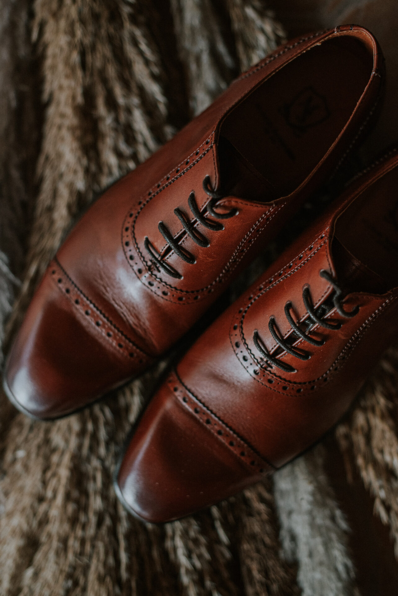 SAW 6112 Naturalna sesja w Gajówce