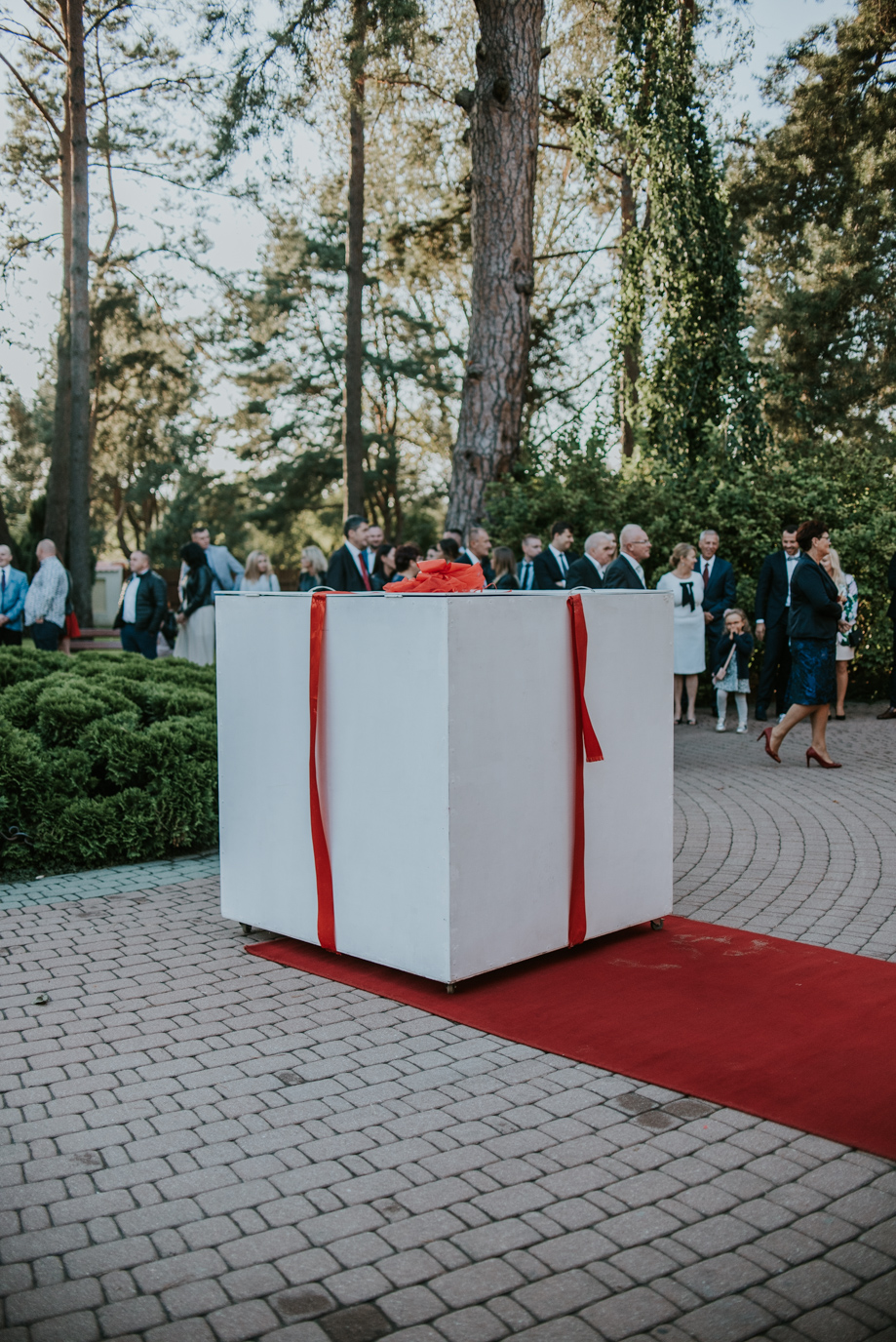 DSC 1303 Ślub glamour Luizy i Mateusza