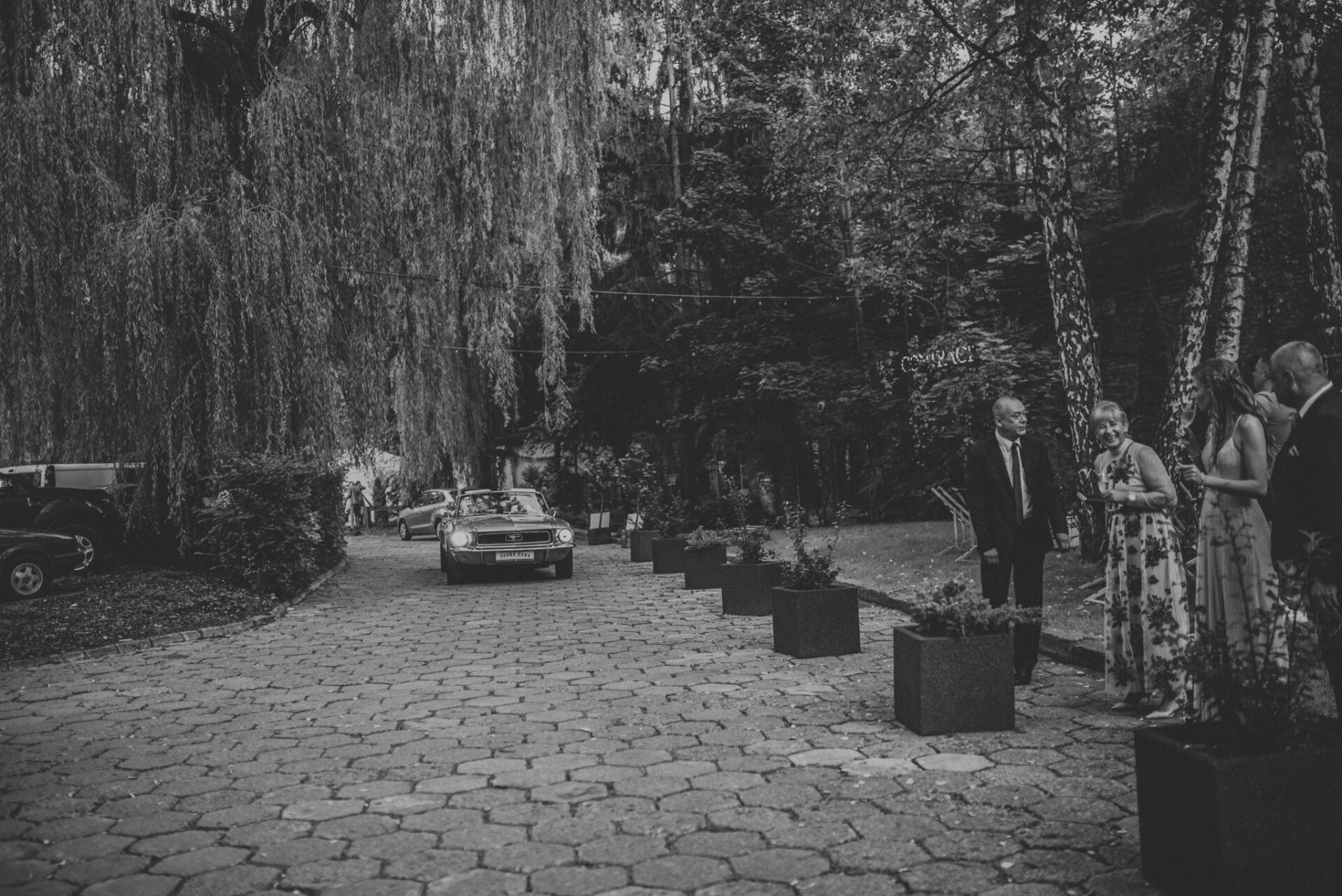 SAW 4461 Slow wedding w Mokoto