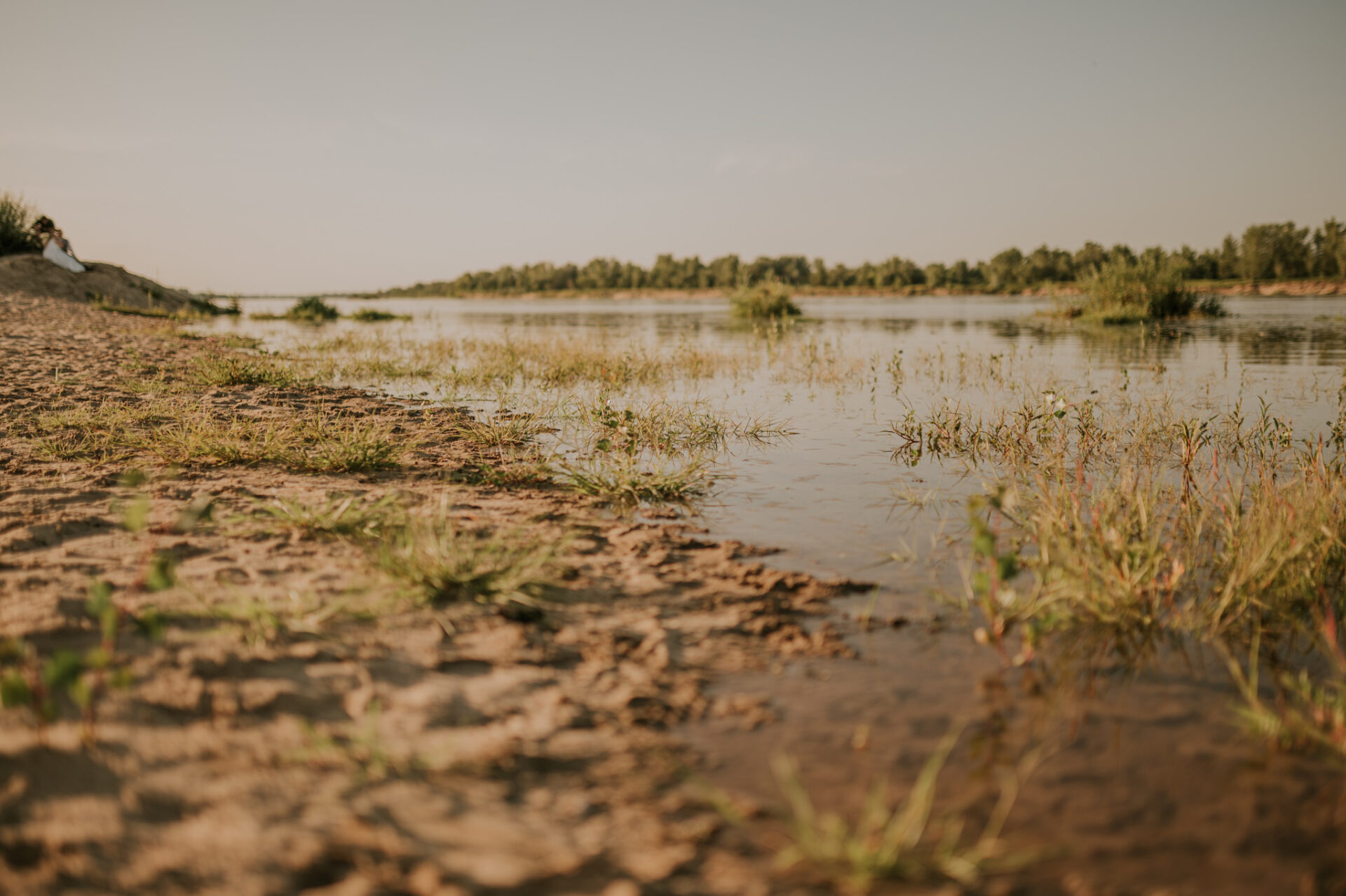 SAW 4057 Sesja narzeczeńska Agi i Dawida