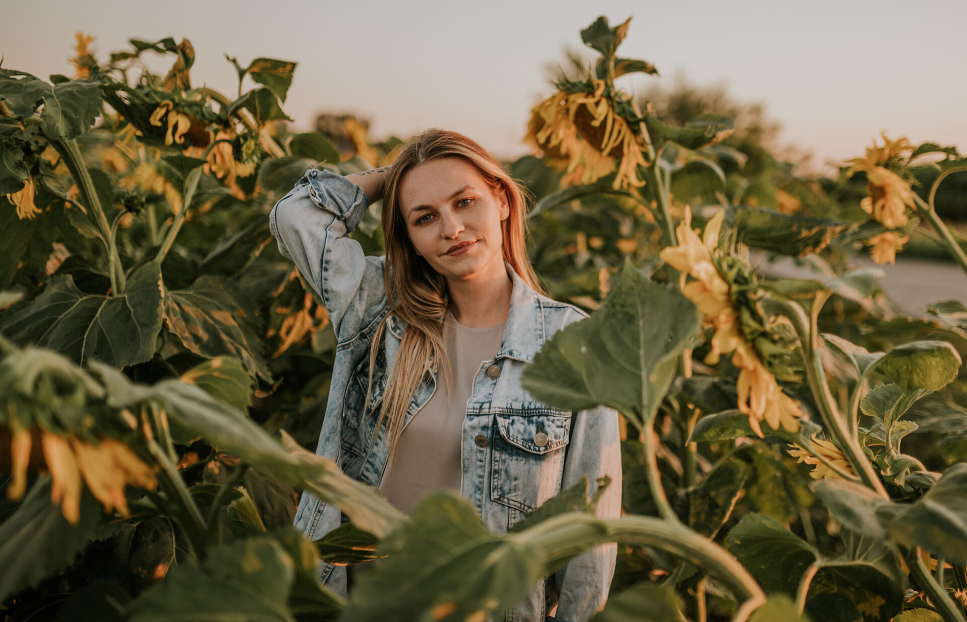 SAW 4808 Sesja narzeczeńska Agi i Dawida